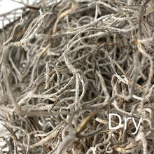 Load image into Gallery viewer, Premium Spanish Moss