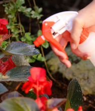 Load image into Gallery viewer, Ortho® Beetle B Gon® MAX Beetle Killer