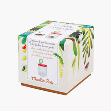 Load image into Gallery viewer, Moulin Roty - Insect Magnifier