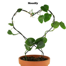 Load image into Gallery viewer, MOSSIFY Heart "Give Love" Metal Trellis