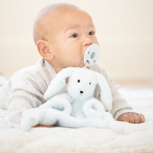 Load image into Gallery viewer, DOG TEETHER BUDDY