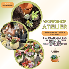 Charger l'image dans la galerie, ATELIER: Création citrouille succulente