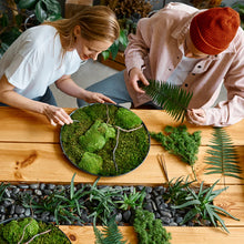 Load image into Gallery viewer, Premium Preserved Reindeer Moss