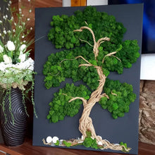 Load image into Gallery viewer, Premium Preserved Reindeer Moss