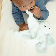 Load image into Gallery viewer, DOG TEETHER BUDDY
