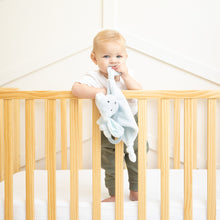 Load image into Gallery viewer, DOG TEETHER BUDDY