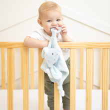 Load image into Gallery viewer, DOG TEETHER BUDDY