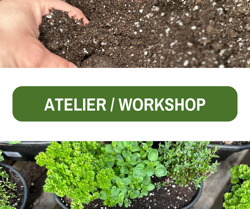 Atelier - 20 Avril, 2024 -  COMPLET!!!
