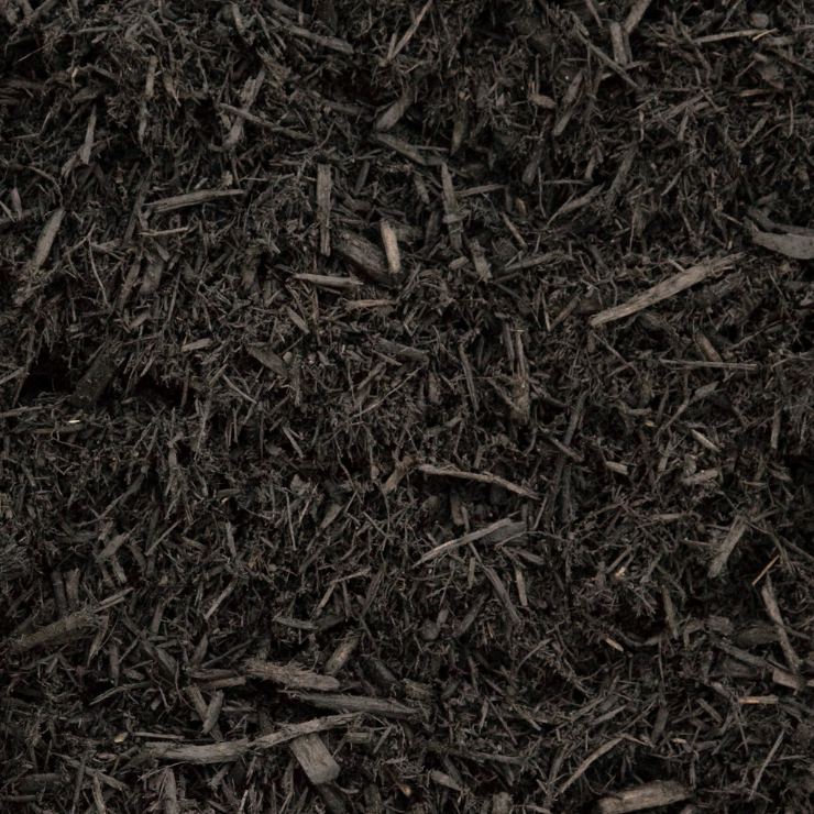 PAILLIS DE CÈDRE NOIR EN VRAC