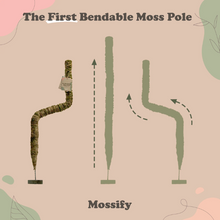 Load image into Gallery viewer, The Original Bendable Moss Pole™  (Pins Included)