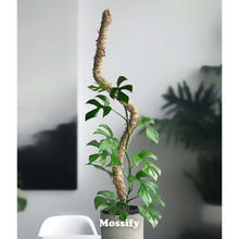 Load image into Gallery viewer, The Original Bendable Moss Pole™  (Pins Included)