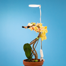 Load image into Gallery viewer, Adjustable LED Plant Light