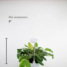 Load image into Gallery viewer, Adjustable LED Plant Light