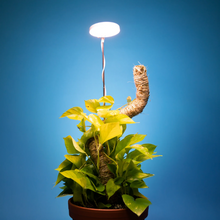Load image into Gallery viewer, Adjustable LED Plant Light