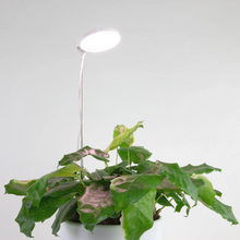 Load image into Gallery viewer, Adjustable LED Plant Light