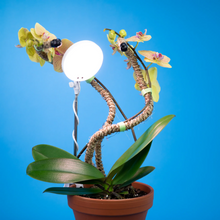 Load image into Gallery viewer, Adjustable LED Plant Light