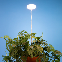 Load image into Gallery viewer, Adjustable LED Plant Light
