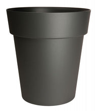 Charger l'image dans la galerie, Pot Viva 21"