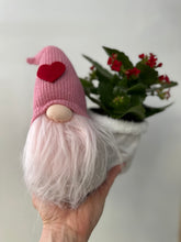 Load image into Gallery viewer, Amouretta Gnome no. 2 with 3.5&quot; plant