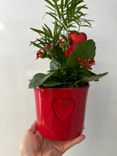 Load image into Gallery viewer, Charmed 5&quot; arrangement with red ceramic pot