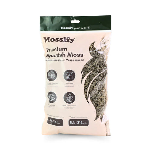 Mousse espagnole de qualité supérieure