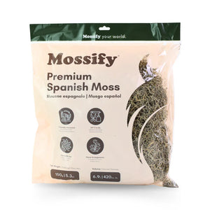 Mousse espagnole de qualité supérieure