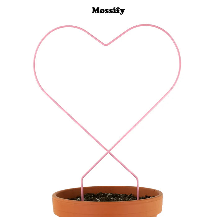 MOSSIFY Heart 