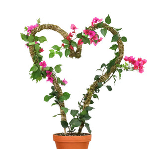Le poteau en mousse pliable™ 𝘛𝘏𝘐𝘕
