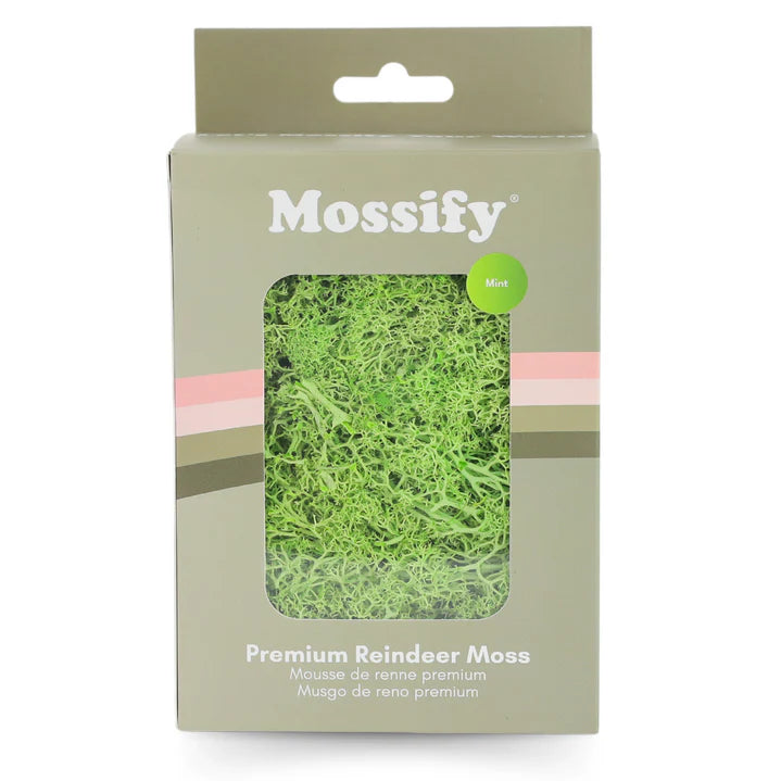 Mousse de renne préservée de qualité supérieure