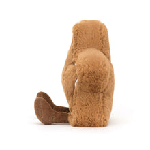 Charger l&#39;image dans la galerie, JELLYCAT™ Amuseables Star Cookie