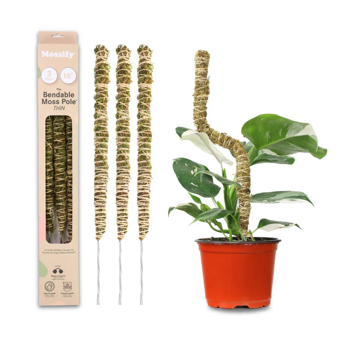 Le poteau en mousse pliable™ 𝘛𝘏𝘐𝘕