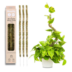 Le poteau en mousse pliable™ 𝘛𝘏𝘐𝘕