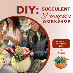 DIY: Create your own Succulent Pumpkin