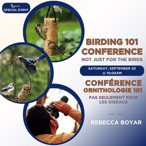 BIRDING 101: Not only for the birds