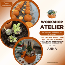 Load image into Gallery viewer, DIY: Create your own Succulent Pumpkin