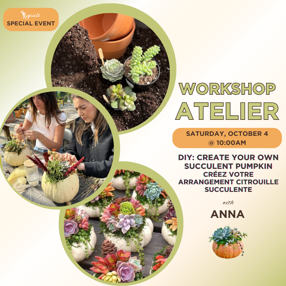 DIY: Create your own Succulent Pumpkin