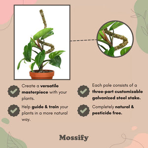 Le poteau en mousse pliable™ 𝘛𝘏𝘐𝘕