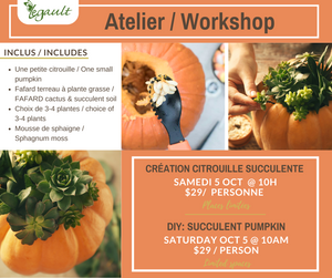 ATELIER - Création citrouille succulente