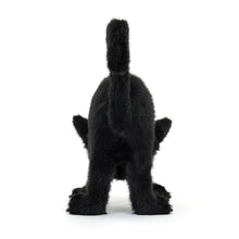 Charger l&#39;image dans la galerie, JELLYCAT™ Spookipaws Cat