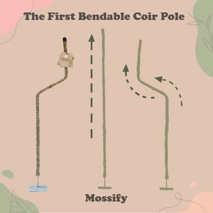 The Original Bendable Coir Pole™