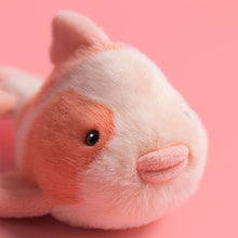Charger l'image dans la galerie, JELLYCAT™ Fancy Carp