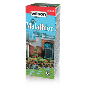 Insecticide Wilson Malathion concentré