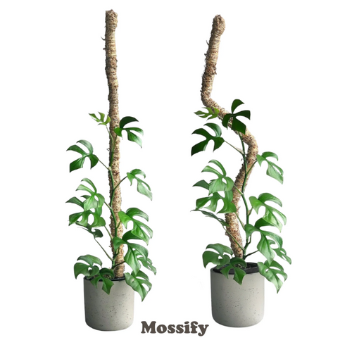The Original Bendable Moss Pole™  (Pins Included) 