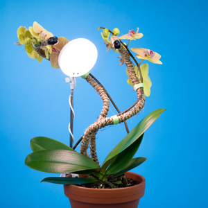 Lumière de plante LED réglable