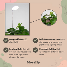 Load image into Gallery viewer, Adjustable LED Plant Light