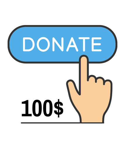 DONATION 100$