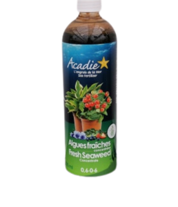 Acadie Fresh Seaweed Concentrate Natural BIO 