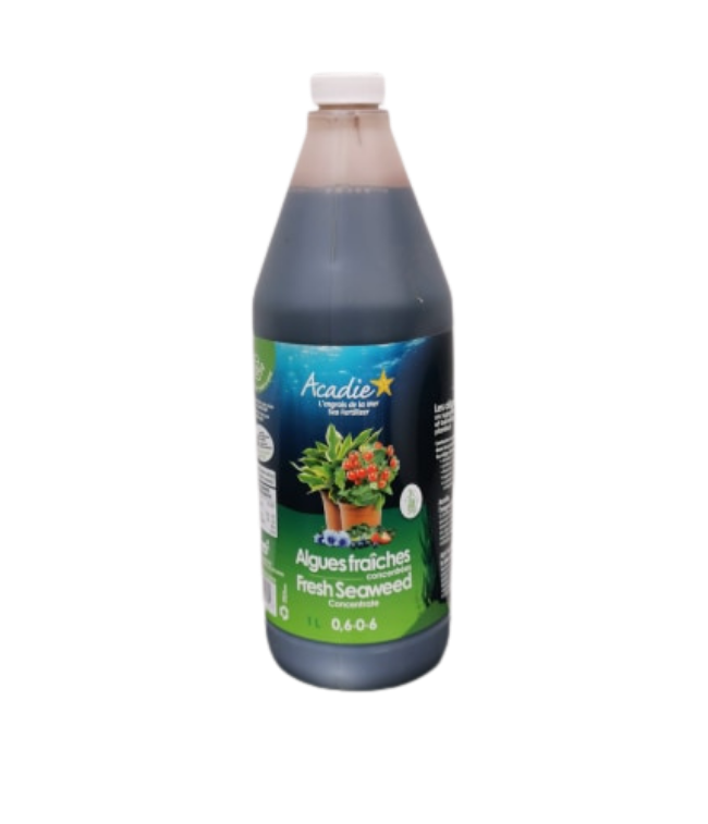 Acadie Fresh Seaweed Concentrate Natural BIO 