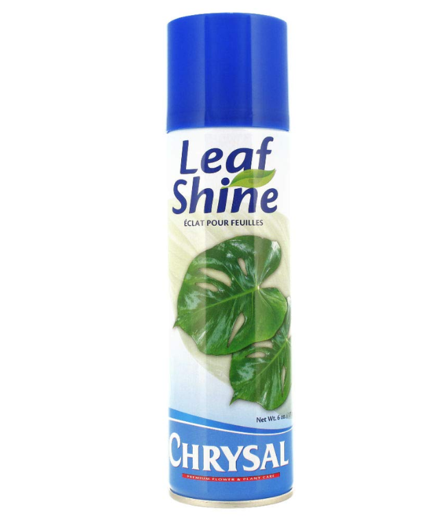 Chrysal Leaf Shine Spray