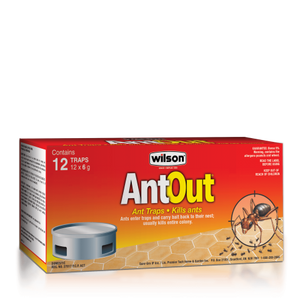 Wilson ANTOUT® ANT TRAPS – 12 TRAPS 6G/EACH